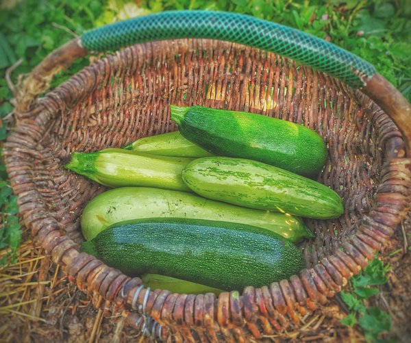 Comment laver les courgettes ?